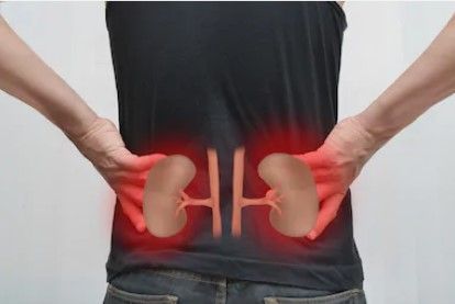 How You Can Prevent Chronic Kidney Disease