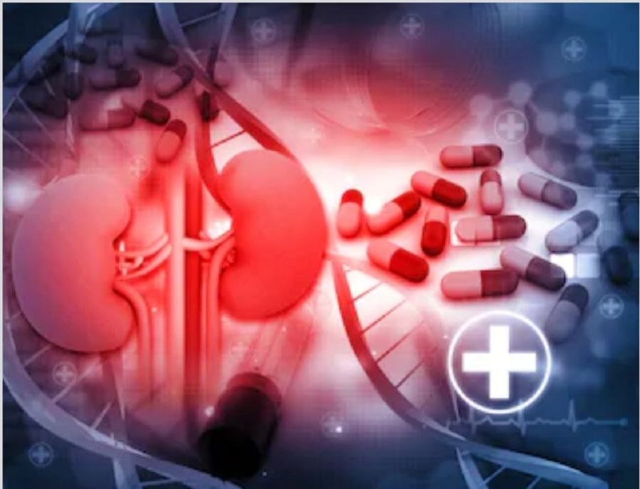 Kidney Failure And Treatment Options